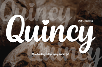 Quincy Font for Creative Digital Projects